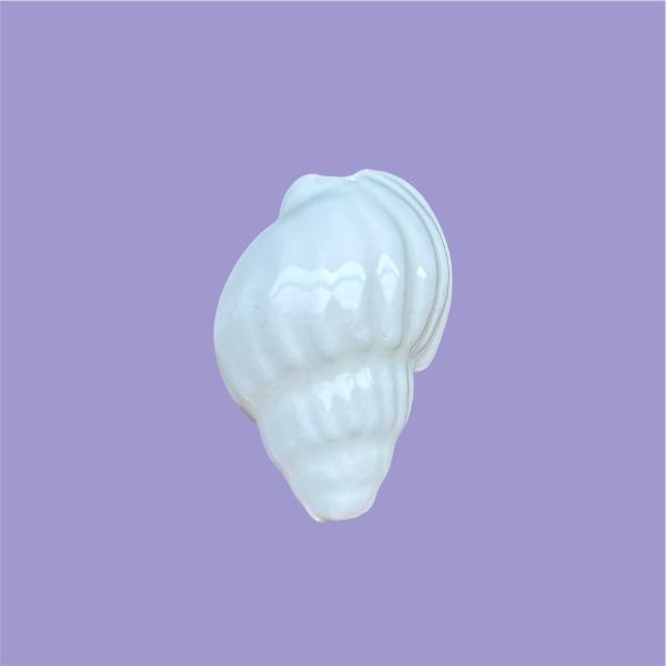 White Conch