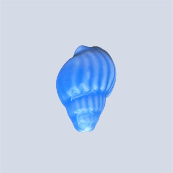 Blue Conch