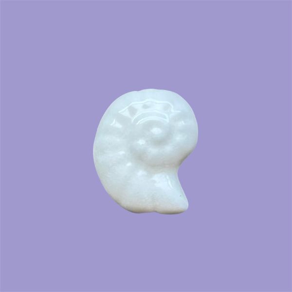 White Fossil Shell