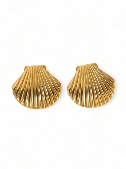 SeaShell Earrings