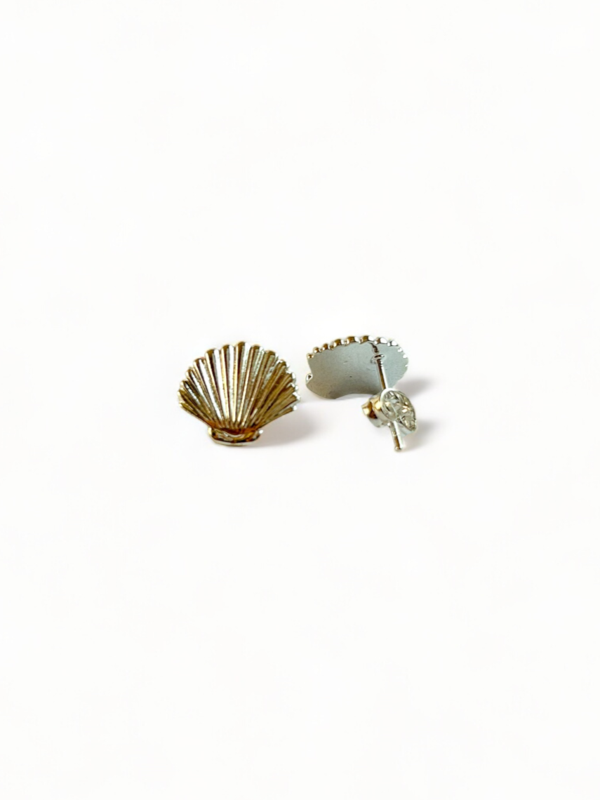 Seashell Small Earrings