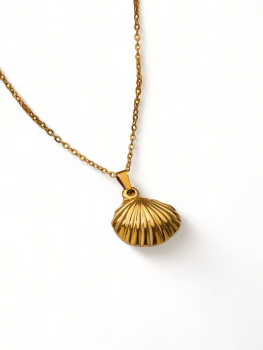 SeaShell Necklace