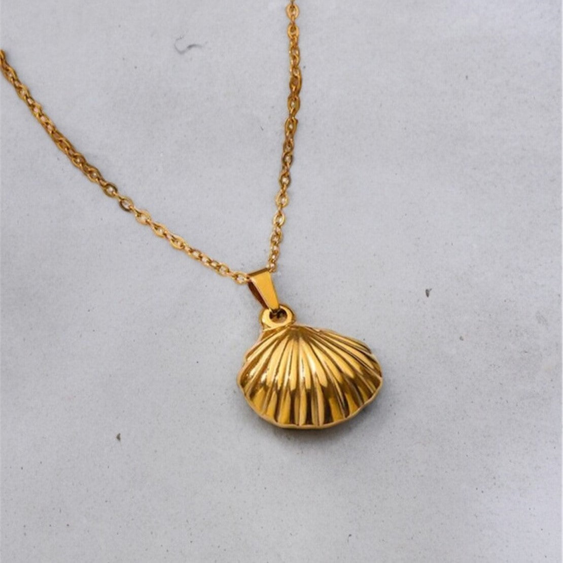 Collier de coquillages