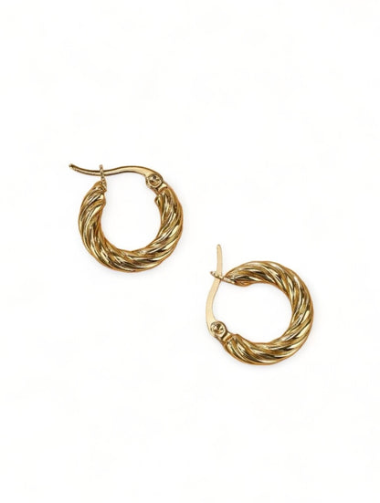 Twisted Hoop Earrings