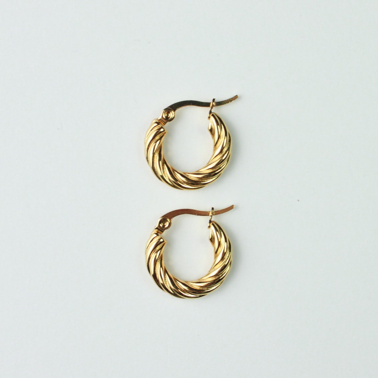 Twisted Hoop Earrings