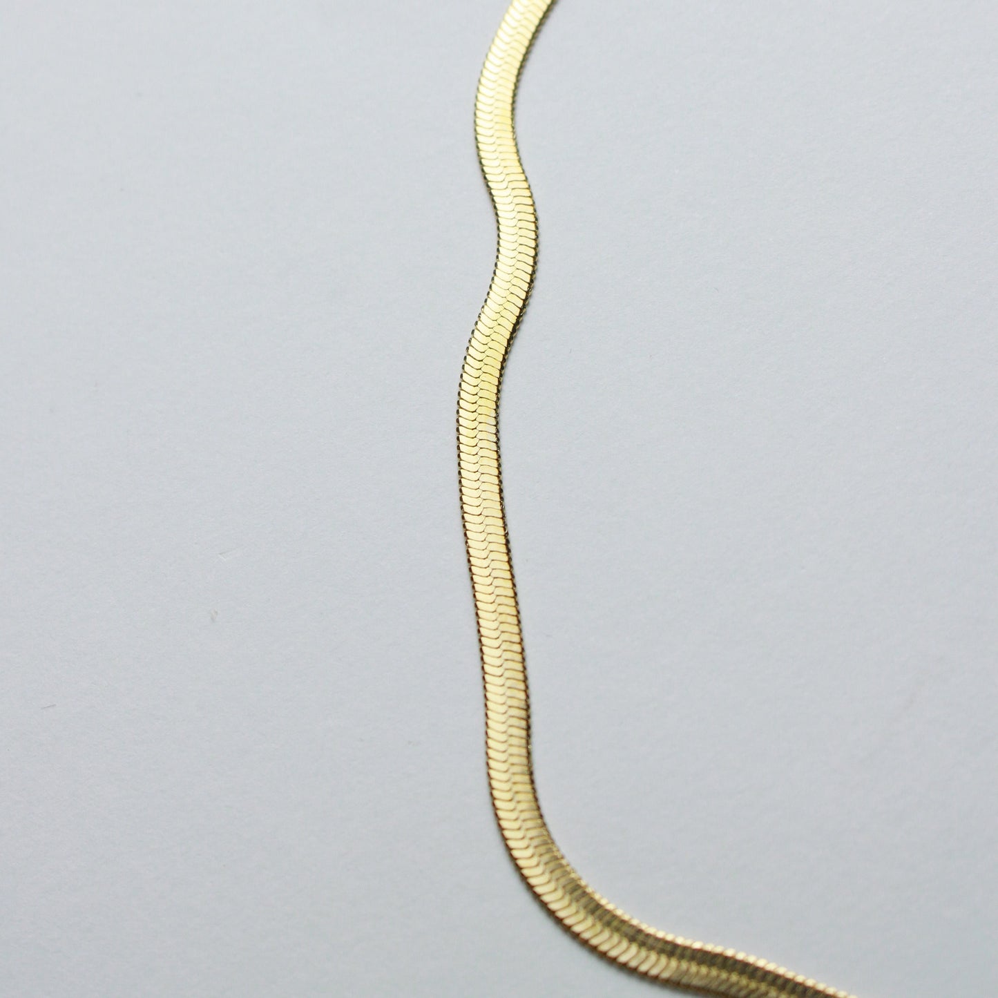 The Flat Snake Chain Necklace