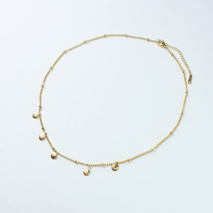 Collar de conchas de vieira