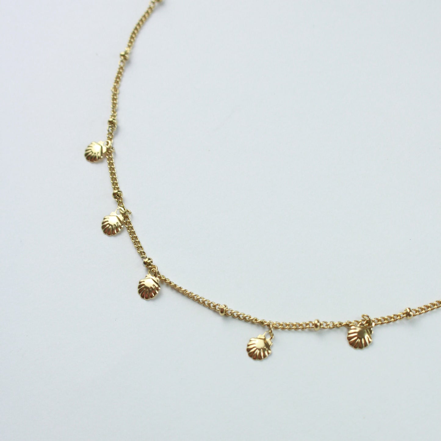 Collar de conchas de vieira