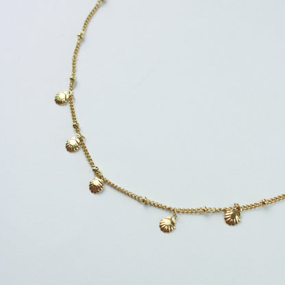Collar de conchas de vieira