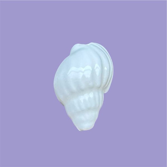 White Conch
