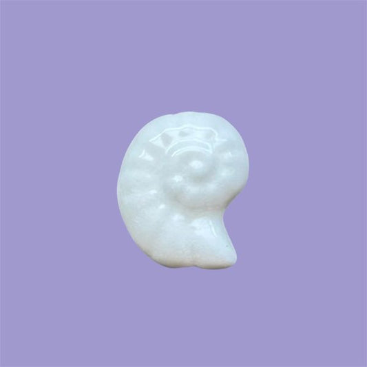 White Fossil Shell