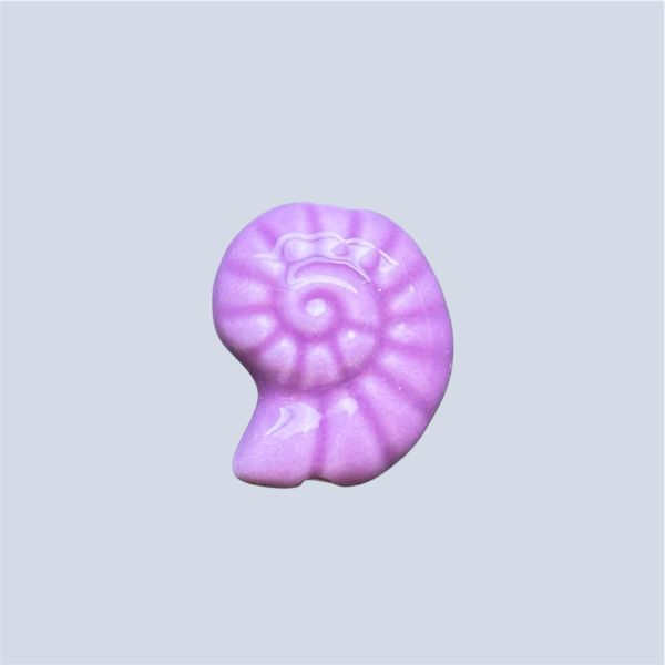 Purple Fossil Shell