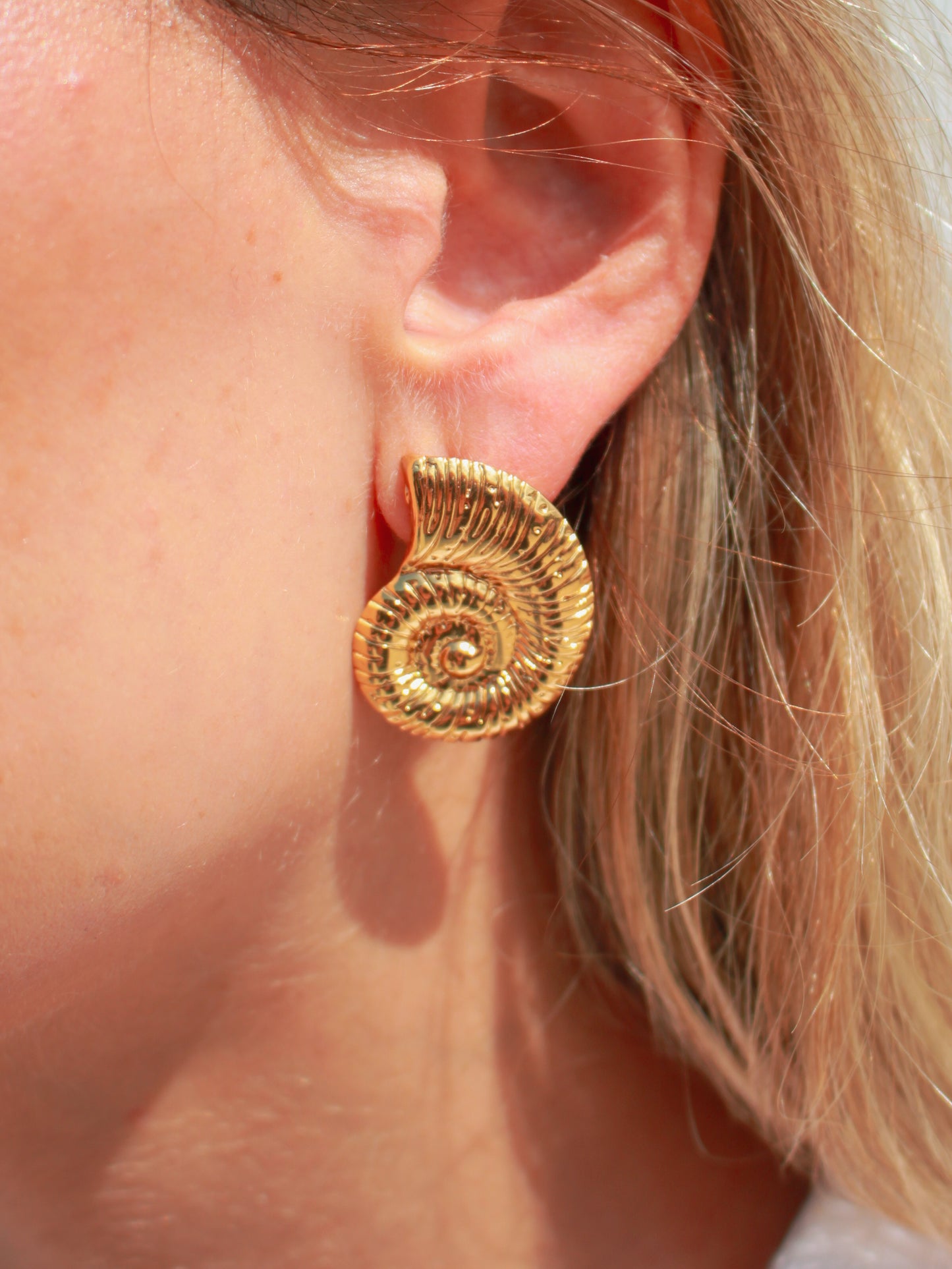 Spiral Shell Earrings