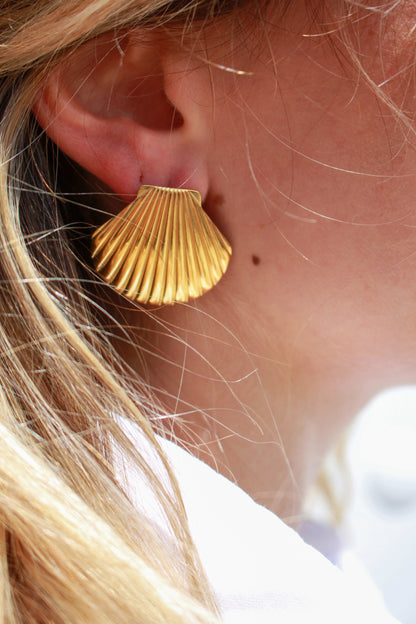 SeaShell Earrings