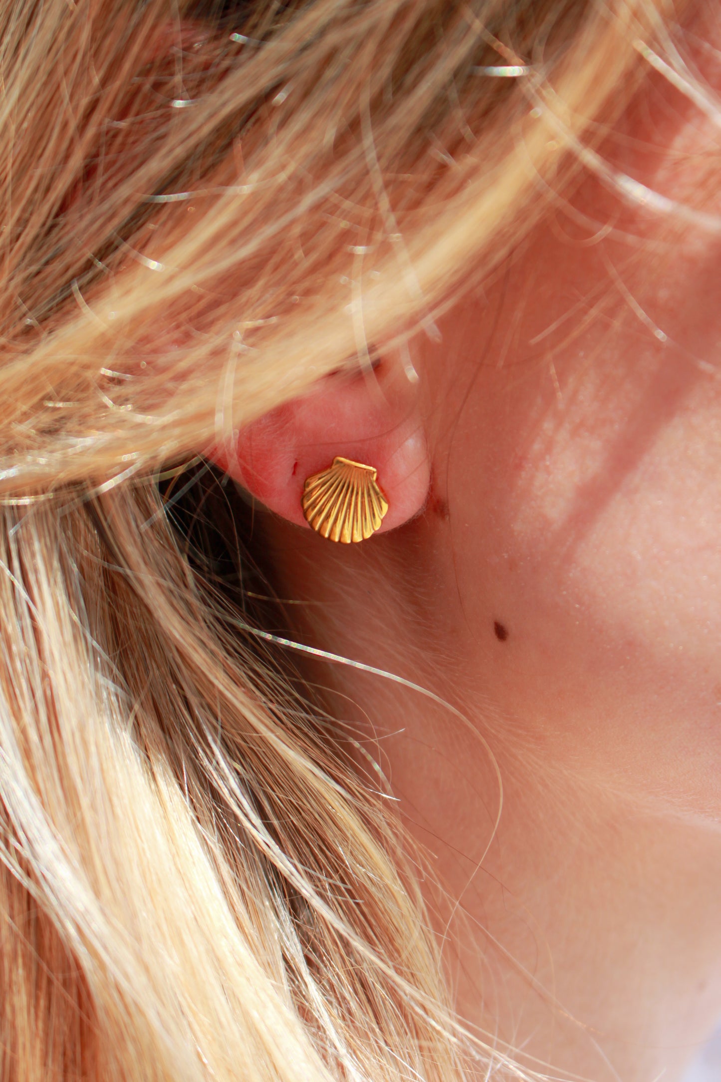 Seashell Small Earrings