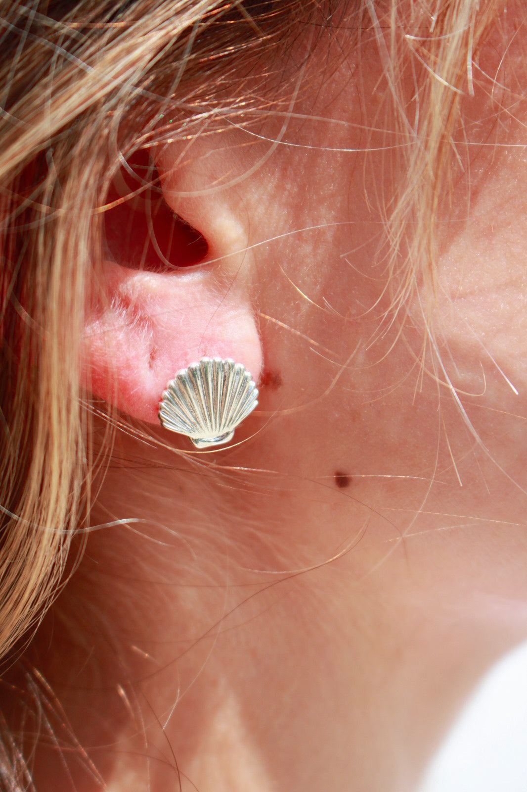 Seashell Small Earrings